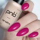 Гел лак PNB 8 мл 376